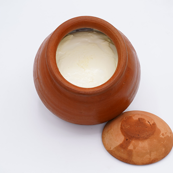 yogurt